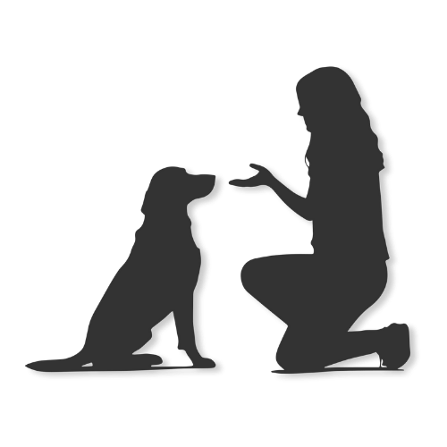 Dog training image